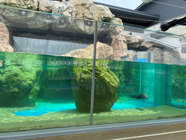 くじらチーム～京都水族館